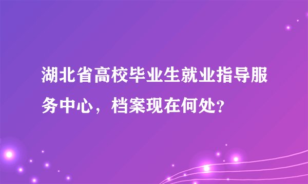 湖北省高校毕业生就业指导服务中心，档案现在何处？