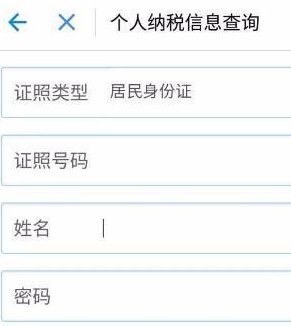 个税怎么查？
