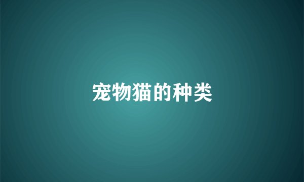 宠物猫的种类