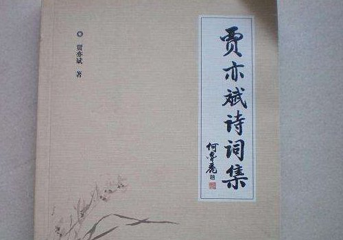 贾亦斌的子女分别是谁