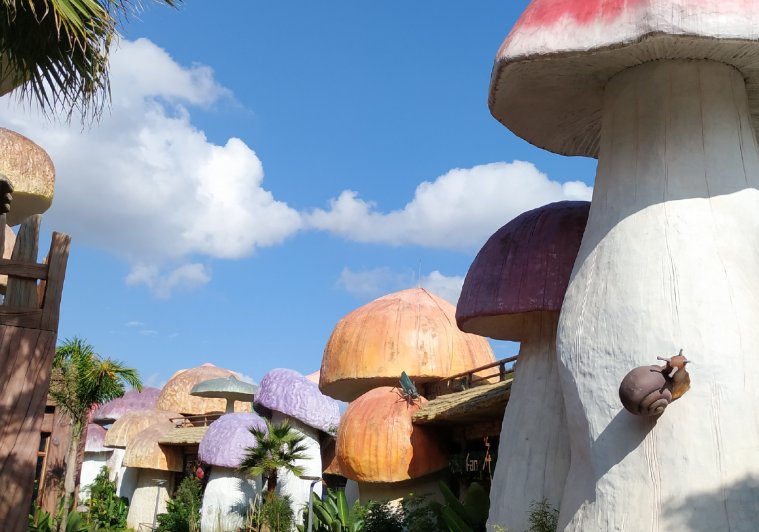 贵州醇景区有什么赏心悦目的景点?