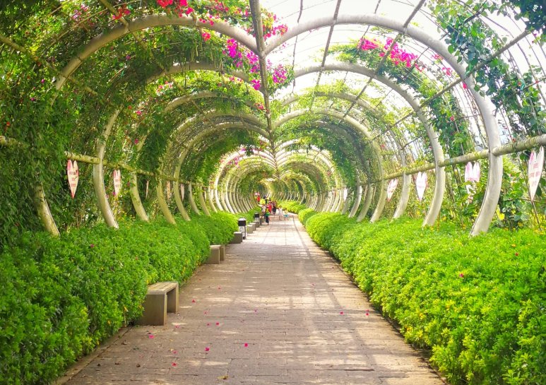 贵州醇景区有什么赏心悦目的景点?