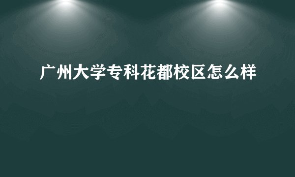 广州大学专科花都校区怎么样