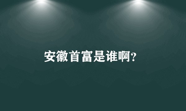 安徽首富是谁啊？