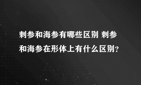 刺参和海参有哪些区别 刺参和海参在形体上有什么区别？