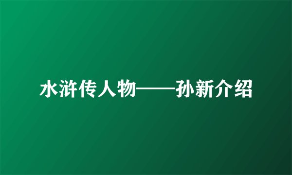 水浒传人物——孙新介绍