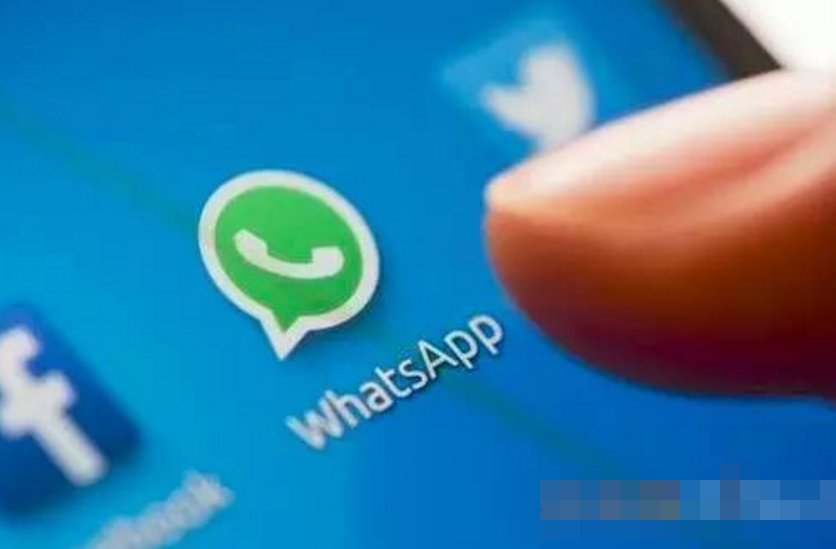 外国人用什么交友软件的多？