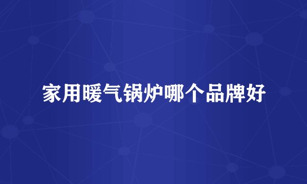 家用暖气锅炉哪个品牌好