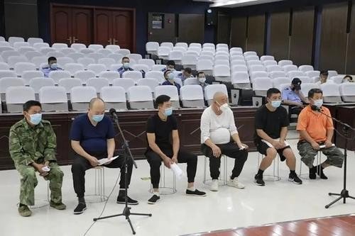 我们公司在商标官网注册了商标，在网上申请缴费完成之后没有发票，想问一下要多久，怎样可以拿到发票