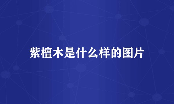 紫檀木是什么样的图片