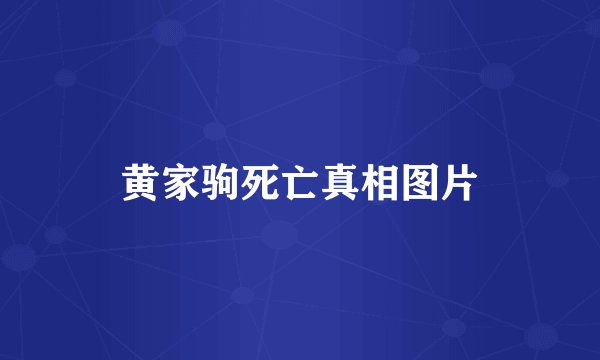 黄家驹死亡真相图片