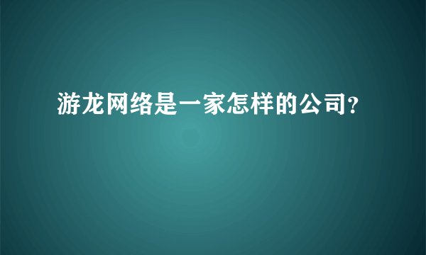 游龙网络是一家怎样的公司？