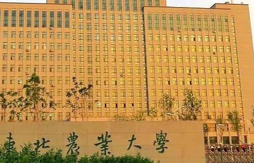 490分能上什么大学