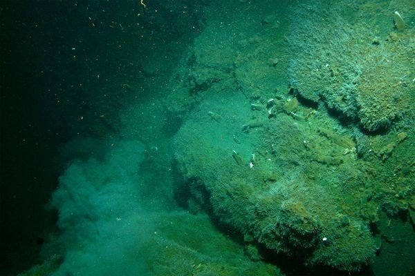 最深的大海有多深?海底深处又会有什么呢?