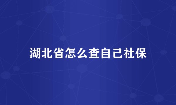 湖北省怎么查自己社保