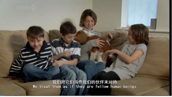 关于狗的动画片