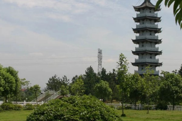 大专有哪些学校?