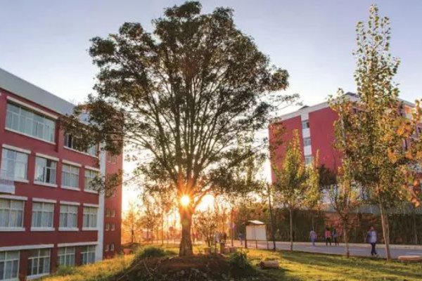 云南大学滇池学院杨林校区有多大，离市区远么