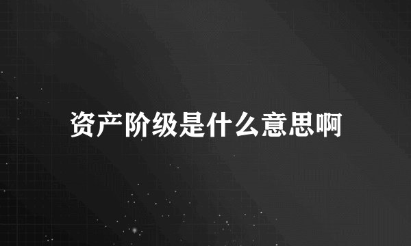 资产阶级是什么意思啊