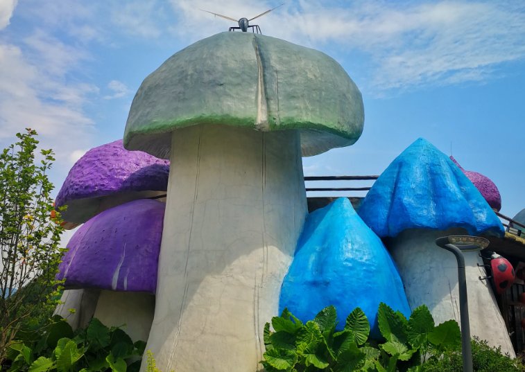 贵州醇景区有什么赏心悦目的景点?