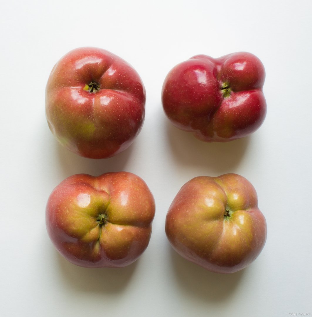 丑苹果和普通苹果有什么区别呢?真的要比普通苹果好吃一些吗?