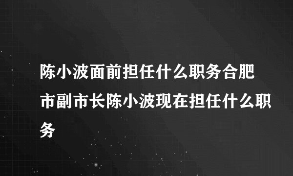 陈小波面前担任什么职务合肥市副市长陈小波现在担任什么职务