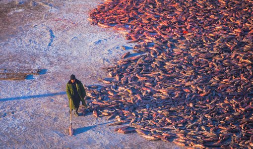 “查干湖景区”有什么好玩的?