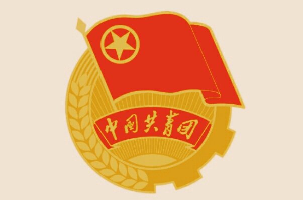 共青团的组织制度是什么