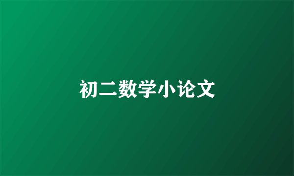 初二数学小论文
