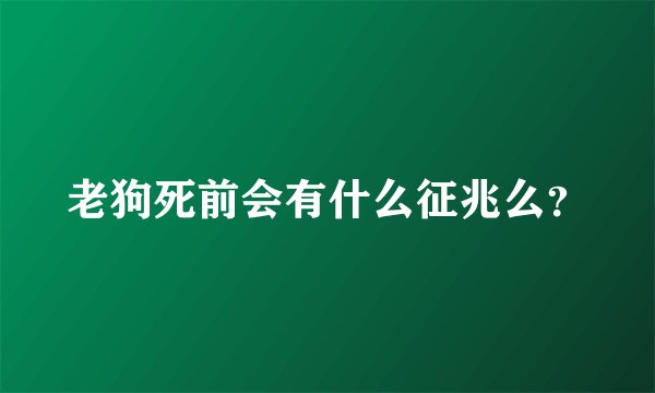 老狗死前会有什么征兆么？