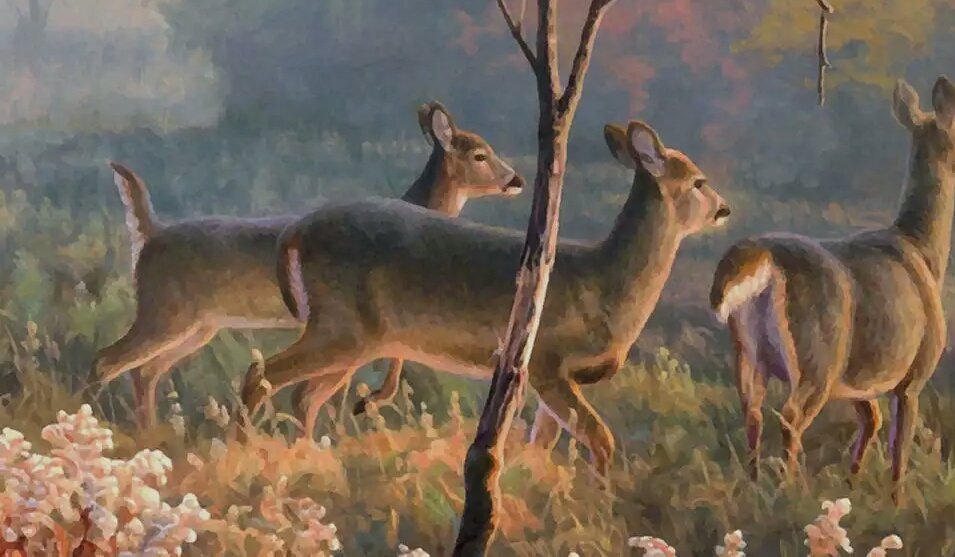 干部详情登记表几年更新填一次？