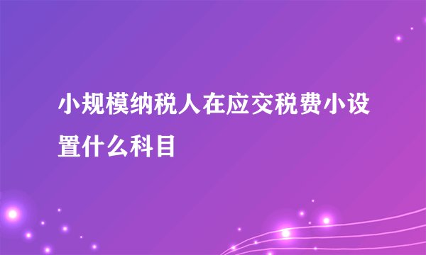 小规模纳税人在应交税费小设置什么科目