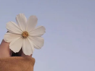 好唱的歌适合五音不全的人有哪些？