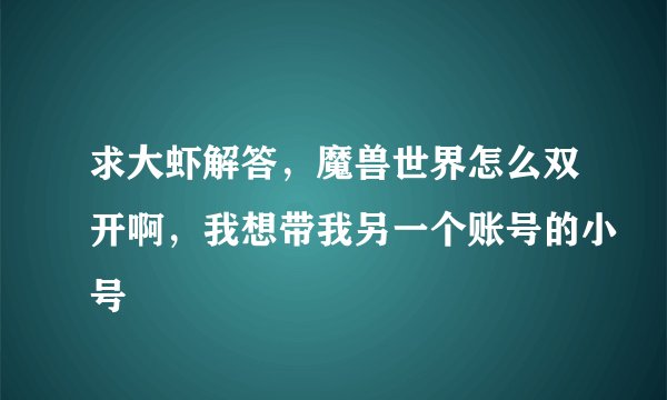 求大虾解答，魔兽世界怎么双开啊，我想带我另一个账号的小号