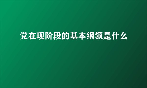 党在现阶段的基本纲领是什么