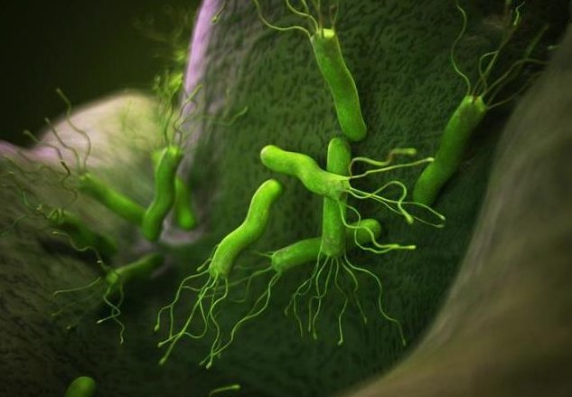 幽门螺杆菌是怎么产生的？