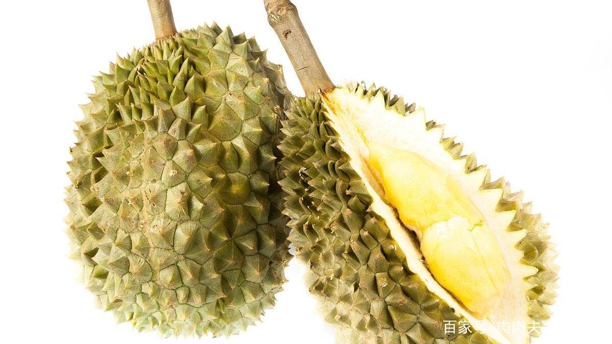 榴莲也是可以盆栽种植的，那榴莲盆栽该如何种植和养护？