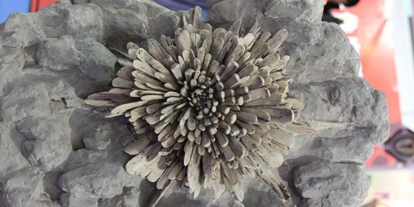 求助，长沙有那些特产可以带走的