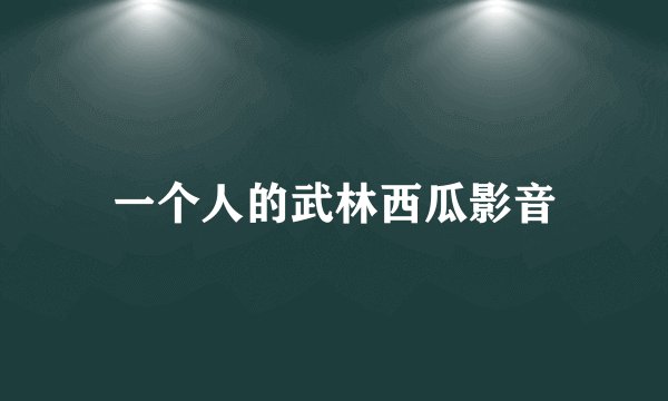 一个人的武林西瓜影音
