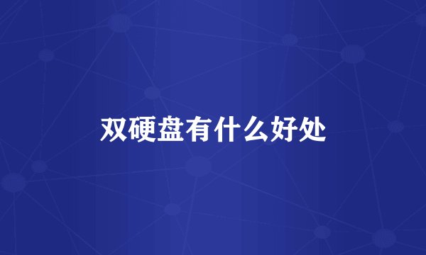 双硬盘有什么好处