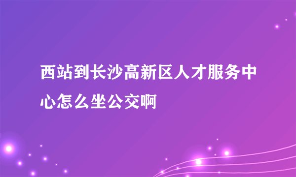 西站到长沙高新区人才服务中心怎么坐公交啊