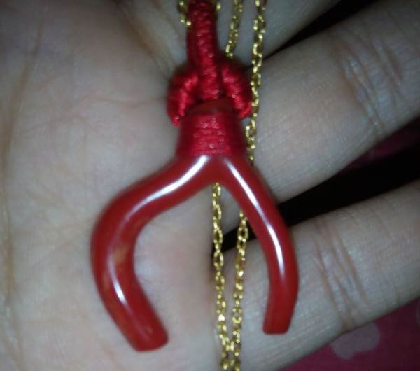 日本红珊瑚的基本资料