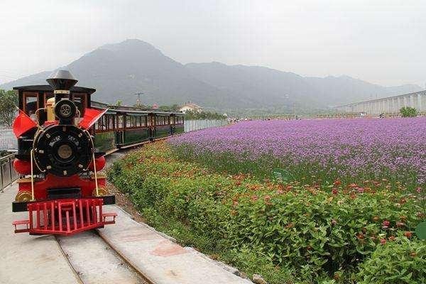 新冠肺炎在日本开始流行，这会对日本哪些行业造成重创？