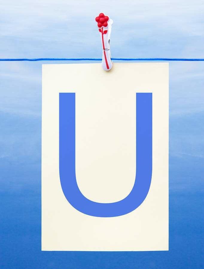 u开头的英语单词？