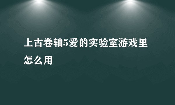 上古卷轴5爱的实验室游戏里怎么用