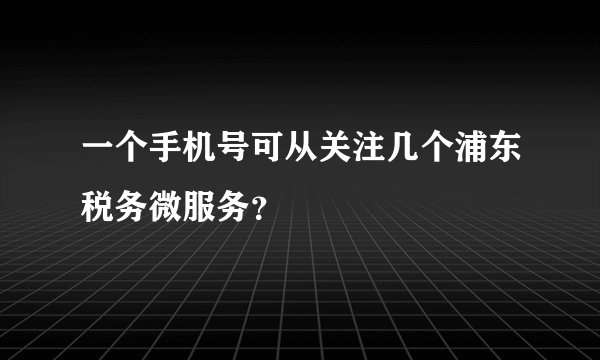 一个手机号可从关注几个浦东税务微服务？
