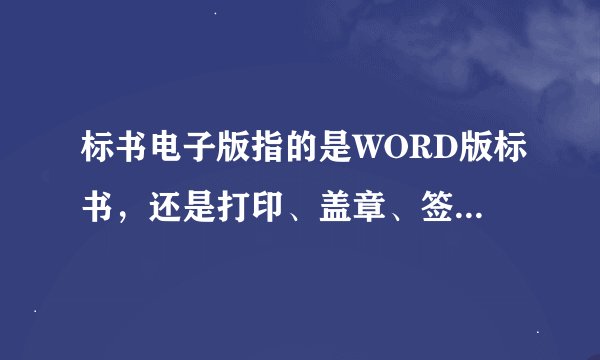 标书电子版指的是WORD版标书，还是打印、盖章、签字之后的扫描件呢？