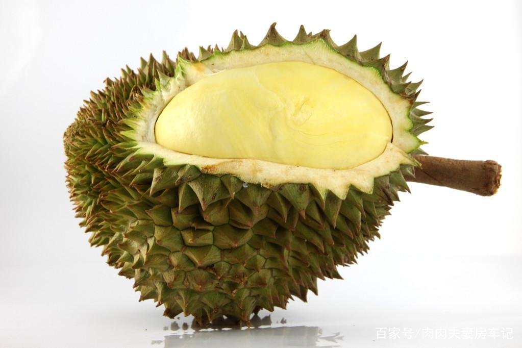 榴莲也是可以盆栽种植的，那榴莲盆栽该如何种植和养护？