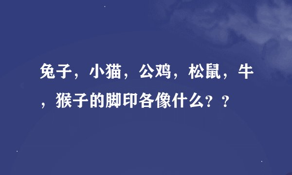 兔子，小猫，公鸡，松鼠，牛，猴子的脚印各像什么？？