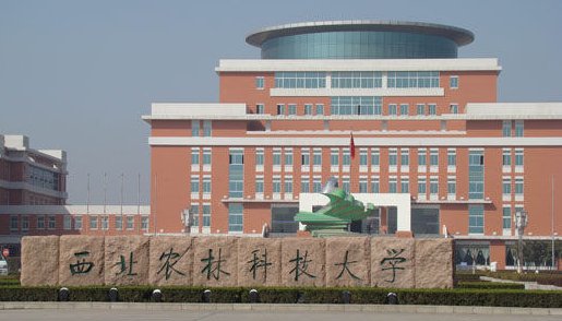 西安的985大学有哪几个？